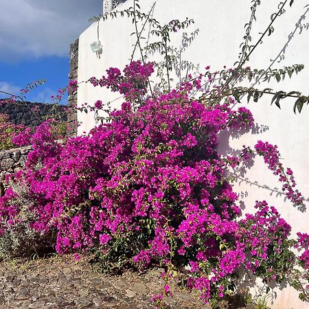 Casa Do Becco Villa Angra do Heroismo Ngoại thất bức ảnh
